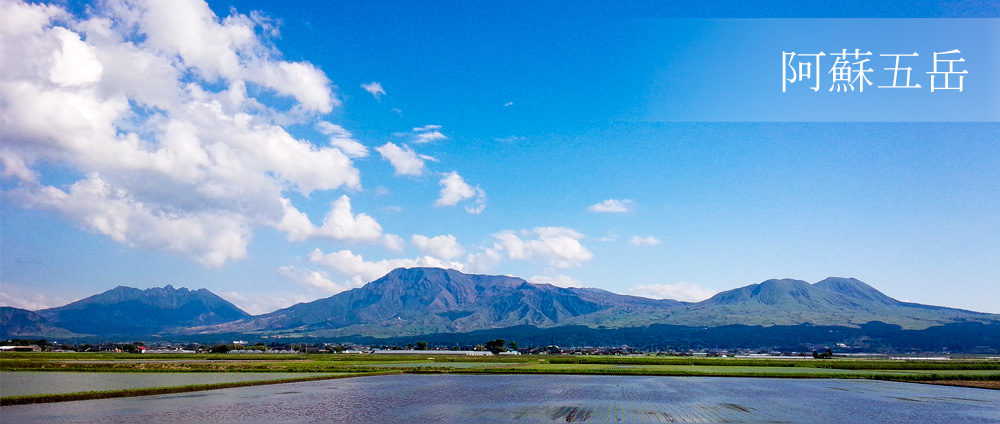 水田の奥に横たわる阿蘇五岳の写真