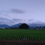 水田と阿蘇五岳の写真