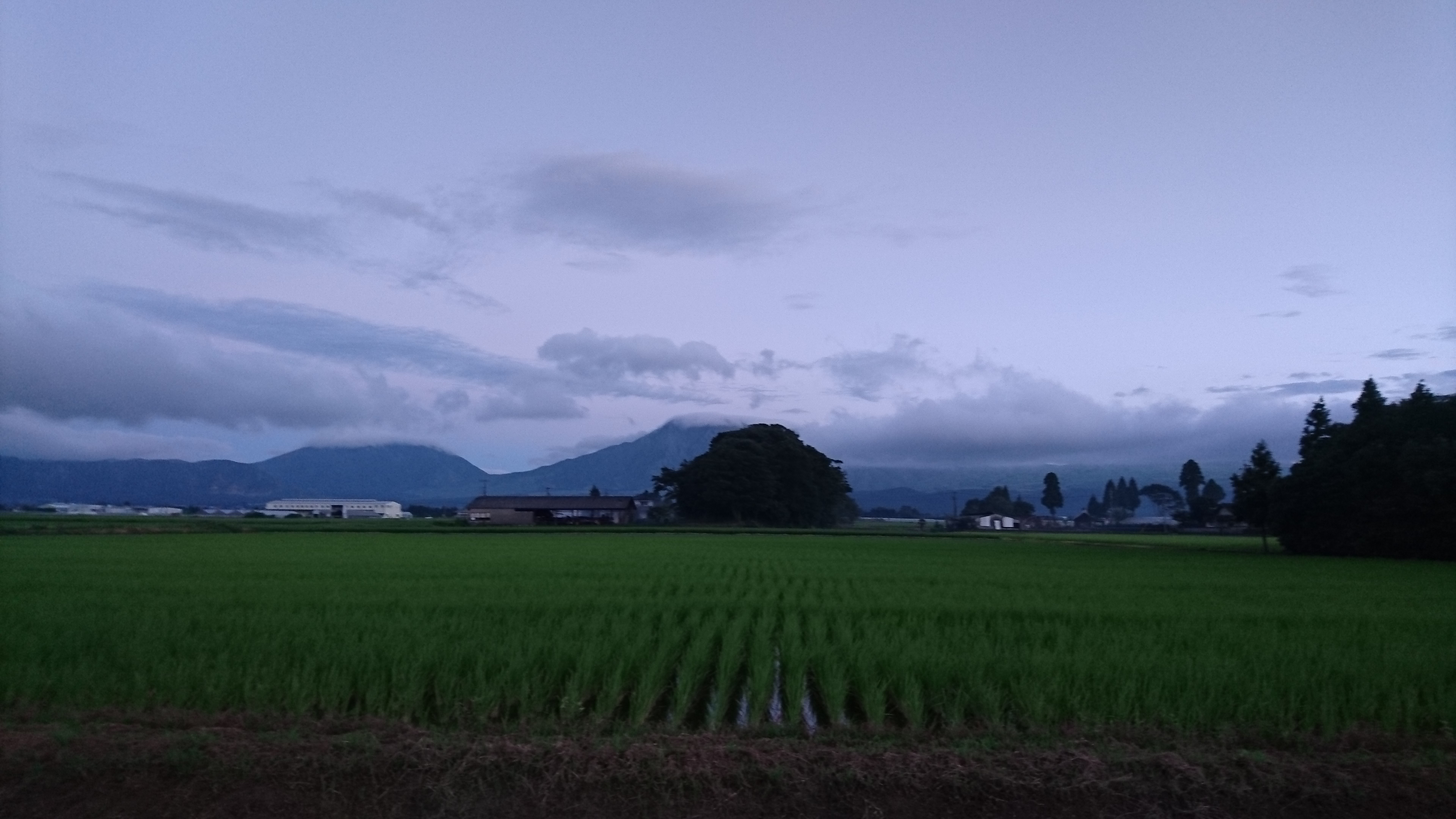 水田と阿蘇五岳の写真