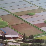 中通古墳群の写真