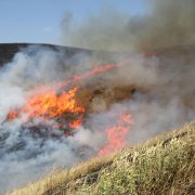 草原の野焼きの写真