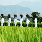 御田植祭の写真